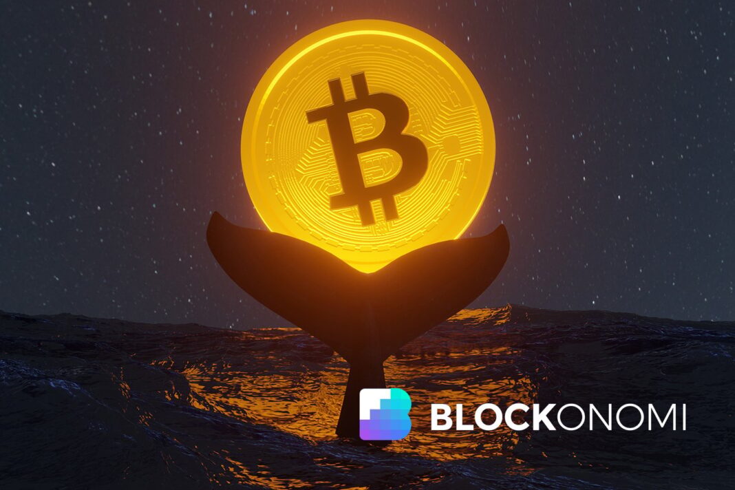 Whale Boosts Bitcoin Bag to 3,600 BTC as Market Consolidates