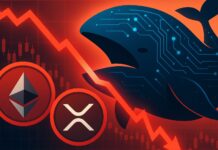 $61M in Profit Wiped Out As Ethereum and XRP Longs Collapse