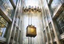 Only these 9 crypto tokens are closer to their all-time high than Bitcoin right now Bitcoin elevator rising inside a glass atrium as select crypto tokens approach all-time highs faster than BTC