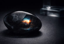 Bitcoin developer hides a 66KB image in a transaction to expose a governance blind spot vulnerable to spam