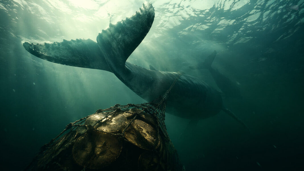 JST Supply Shrinks by 1.36 Billion Following Three Rounds of Buyback and Burn: Token Price and Market Cap Propelled by Deflationary Drivers