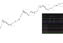 Analyst Who Called Bitcoin’s Top Correctly Now Predicting The Bottom