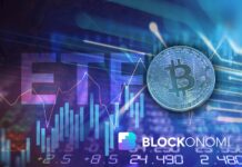 Mike McGlone Says Bitcoin ETF Boom Peaked, Keeps $10K BTC Risk Bitcoin ETF