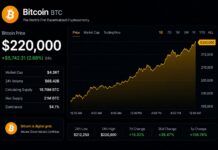 Analyst Sets $220,000 Minimum Price Target For Bitcoin, But How Will It Get There?