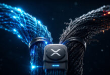 XRPL’s May 27 upgrade shows how validators and markets decide a blockchain split Bitcoin logo