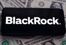 BlackRock Flags Bitcoin as 60/40 Strategy Weakens BlackRock Flags Bitcoin as 60/40 Strategy Weakens