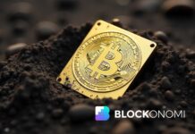 Bitcoin Holds Key Support as UTXO Growth Hits Record Levels Bitcoin Holds Key Support as UTXO Growth Hits Record Levels