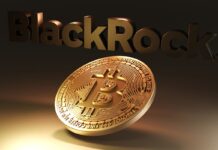 Bitcoin ETF Market Dominated by BlackRock (BLK) and Fidelity with 90%+ Share Bitcoin ETF Market Dominated by BlackRock (BLK) and Fidelity with 90%+ Share