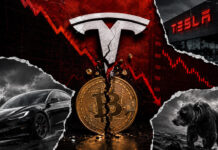 Tesla books $112 million crypto paper loss as digital assets fall to $674 million Tesla books $112 million crypto paper loss as digital assets fall to $674 million