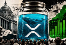 XRP’s $1.16 recovery gets support from whales and a $285 million ETF streak XRP’s $1.16 recovery gets support from whales and a $285 million ETF streak