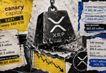 Investors poured $82 million into Canary’s XRP ETF, but falling prices erased double what they put in Investors poured $82 million into Canary’s XRP ETF, but falling prices erased double what they put in