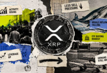 Record user activity and a collapse in whale selling should send XRP soaring, so why is it still pinned at $1? Record user activity and a collapse in whale selling should send XRP soaring, so why is it still pinned at $1?